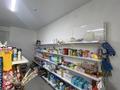 Свободное назначение · 48 м² за 33 млн ₸ в Каскелене — фото 2