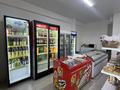 Свободное назначение · 48 м² за 33 млн ₸ в Каскелене — фото 3