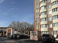 2-бөлмелі пәтер · 80 м² · 7/9 қабат, мкр Михайловка , Мичурина 23 б, бағасы: 69.8 млн ₸ в Караганде, Казыбек би р-н — фото 6