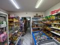 Свободное назначение, офисы, магазины и бутики, салоны красоты · 46 м² за 25 млн ₸ в Астане, Сарайшык р-н — фото 4