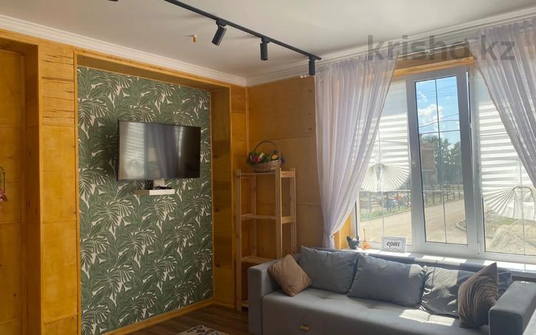 Жеке үй · 1 бөлме · 35 м², Боровое, бағасы: 25 000 ₸ в Бурабае — фото 28