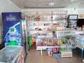Магазины и бутики • 136 м² за 25 млн 〒 в Ботакаре — фото 3