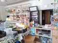 Магазины и бутики • 136 м² за 25 млн 〒 в Ботакаре — фото 7