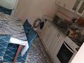 Отдельный дом · 2 комнаты · 40 м² · 5 сот., мкр Малый Самал, Утегенова — Утегенова за 120 000 ₸ в Шымкенте, Туран р-н — фото 4