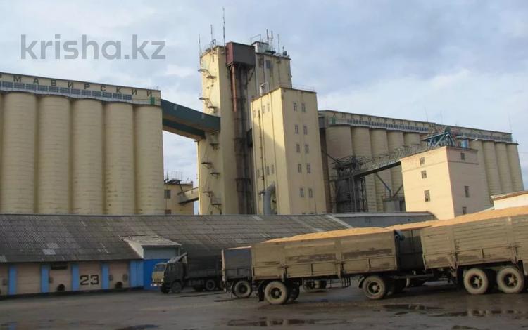 Сельское хозяйство · 5000 м² за 6 млрд 〒 в Астане, Нура р-н — фото 3