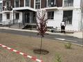 1-комнатная квартира · 45.87 м² · 4/6 этаж, мкр Нуркент 27 — Алматы арена жанында за 35.5 млн ₸ в Алатауский р-н — фото 2