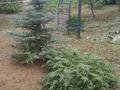 Дача · 2 комнаты · 50 м² · 10 сот., Набережная 8/1 — Жд станции, вторая береговая линия за 6 млн ₸ в Ново-Троицкое — фото 4