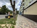 2-комнатная квартира · 45 м² · 5/5 этаж, Казахстан 124 за 23.6 млн ₸ в Усть-Каменогорске — фото 50