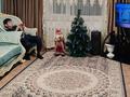 Отдельный дом · 4 комнаты · 100 м² · 7 сот., Кудайбирдеева 19 — Школы Н.Островского за 21 млн ₸ в Талдыкоргане — фото 10