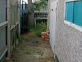 Дача · 3 комнаты · 75 м² · 6 сот., Цветочная 37 — Находится возле трассы за ~ 3.8 млн ₸ в Кокшетау — фото 10
