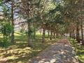 Отдельный дом · 10 комнат · 1200 м² · 300 сот., Абылай Хана за ~ 2.1 млрд 〒 в Алматы, Наурызбайский р-н — фото 3