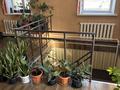 Отдельный дом · 5 комнат · 165 м² · 6 сот., Майкудук, Люксембург 145а за 50 млн 〒 в Караганде, Алихана Бокейханова р-н