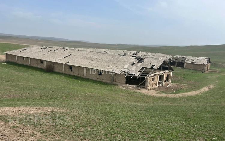 Ауыл шаруашылығы · 1574 м², бағасы: 17 млн ₸ в  — фото 8