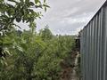 Отдельный дом · 3 комнаты · 65 м² · 10 сот., Улан 3 — Возле новой школы за 15 млн ₸ в  — фото 23