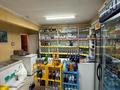 Дүкендер мен бутиктер · 75 м², бағасы: 37 млн ₸ в Усть-Каменогорске — фото 9