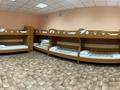 Бани, гостиницы и зоны отдыха · 230 м² за 120 млн ₸ в Петропавловске — фото 6