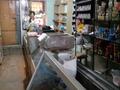Магазины и бутики • 62 м² за 16.5 млн 〒 в Таразе — фото 11