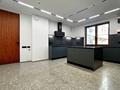 4-комнатная квартира · 240 м² · 4/9 этаж, Пушкина 64 — Карасай батыра за 500 млн ₸ в Алматы, Медеуский р-н — фото 18