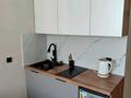 1-бөлмелі пәтер · 21 м² · 7/9 қабат, ул. Е-810 2/21, бағасы: 14 млн ₸ в Астане, Сарайшык р-н — фото 11