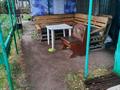 Дача · 3 комнаты · 20 м² · 10 сот., 1 полоса — Около хоздвора за 1.5 млн ₸ в Темиртау — фото 3