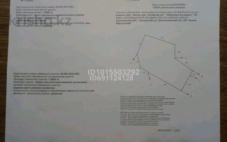 Жер телімі · 130 сотық, Белбұлақ (Мичурино), бағасы: 185 млн ₸ в Бельбулаке (Мичурино) — фото 2