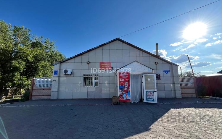 Свободное назначение, магазины и бутики · 149 м² за 27 млн ₸ в  — фото 12