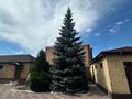 Отдельный дом · 5 комнат · 540 м² · 12 сот., мкр Кунгей за 127 млн 〒 в Караганде, Казыбек би р-н — фото 16