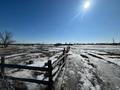 Участок · 12 соток, Восточный правый 9565 за 2.8 млн ₸ в Семее — фото 5