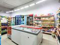 Магазины и бутики · 193 м² за 53 млн ₸ в Астане, Алматы р-н — фото 2