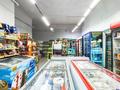Магазины и бутики · 193 м² за 53 млн ₸ в Астане, Алматы р-н — фото 5