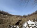 Участок · 4.8 га, мкр Кольсай за 300 млн ₸ в Алматы, Медеуский р-н — фото 2