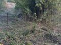 Участок · 1200 га, мкр Юбилейный за 2.5 млрд ₸ в Алматы, Медеуский р-н — фото 3
