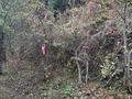 Участок · 1200 га, мкр Юбилейный за 2.5 млрд ₸ в Алматы, Медеуский р-н — фото 7