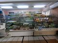 Магазины и бутики • 77 м² за 33 млн 〒 в Усть-Каменогорске — фото 5