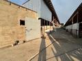 Ауыл шаруашылығы · 3300 м², бағасы: 145 млн ₸ в Касымбек датка — фото 4
