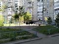 3-комнатная квартира · 62.9 м² · 1/7 этаж, Майкудук, Майкудук, мкр Голубые пруды 13 за 22.5 млн ₸ в Караганде, Алихана Бокейханова р-н — фото 19
