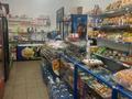 Свободное назначение · 270 м² за 180 млн ₸ в Алматы, Медеуский р-н — фото 2