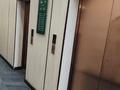 2-комнатная квартира · 43 м² · 9/12 этаж, Володарского 25В — Кунаева за 245 000 ₸ в Шымкенте, Аль-Фарабийский р-н — фото 3