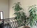 3-комнатная квартира · 74.5 м² · 5/5 этаж, Дружба Народов за 37 млн ₸ в Усть-Каменогорске, Ульбинский — фото 5
