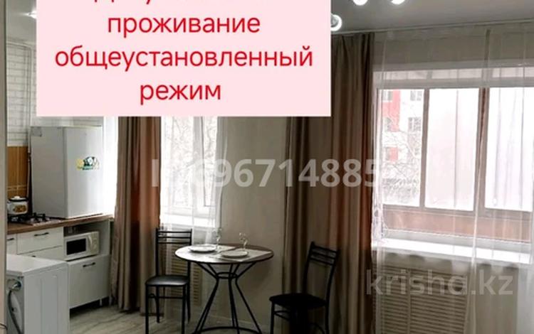 1-бөлмелі пәтер · 33 м² · 3/5 қабат, Аль фараби 100 — Кондиционер. Детский мир. ДВД. Акимат областная больница . парк, бағасы: 13 000 ₸ в Костанае — фото 15