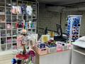 Еркін · 30 м², бағасы: 300 000 ₸ в Астане, Есильский р-н — фото 3