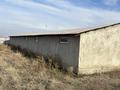 Отдельный дом · 2 комнаты · 50 м² · 10 сот., Долана 12 — Ипподром за 13 млн ₸ в Коктал — фото 3
