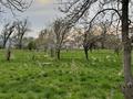 Жер телімі · 6 сотық, Амангельды, бағасы: 9.5 млн ₸ в Талгаре
