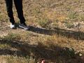 Участок · 24.5 га, Кырбалтабай за 12 млн ₸ — фото 25
