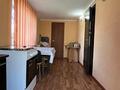 Отдельный дом · 3 комнаты · 60 м² · 11 сот., Челюскина 6 за 17.7 млн ₸ в Усть-Каменогорске — фото 17