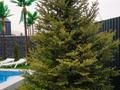 Дом · 4 комнаты · 180 м², Улица 2-Новостройка 3030 — Форелевое хозяйство за 200 000 ₸ в Талгаре — фото 56