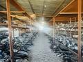 Магазин Автозапчастей · 1000 м², бағасы: 60 млн ₸ в Шахтинске — фото 15