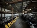 Магазин Автозапчастей · 1000 м², бағасы: 60 млн ₸ в Шахтинске — фото 7