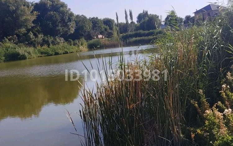 Участок · 2 га, Учётный квартал 039 548 за 110 млн ₸ в Коксаеке — фото 2