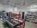 Дүкендер мен бутиктер · 181 м², бағасы: 58 млн ₸ в Актау, 16-й мкр  — фото 11